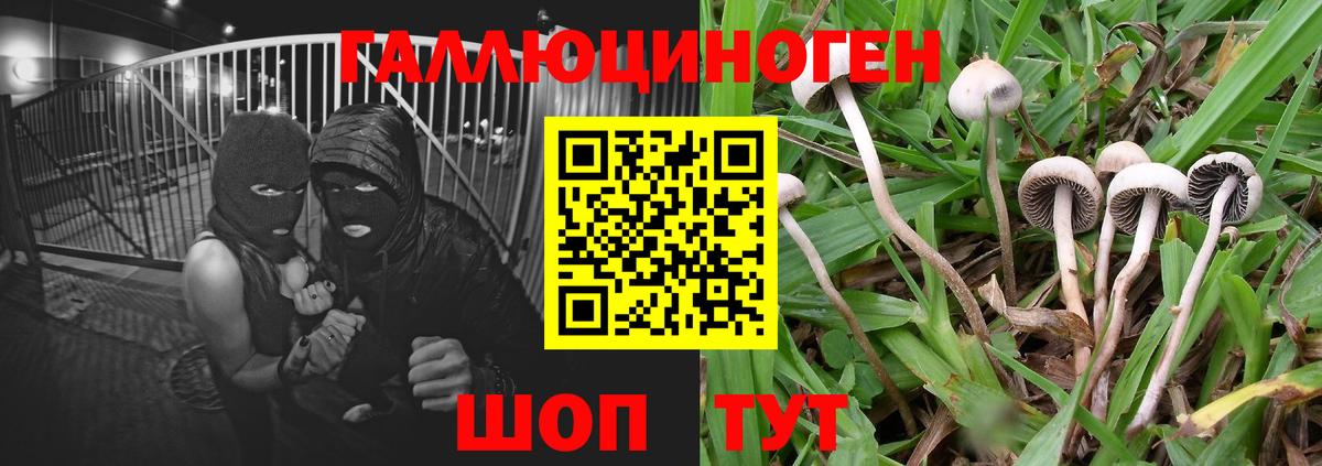 Галлюциногенные грибы прущие грибы  магазин    Россошь  Вход с VPN 